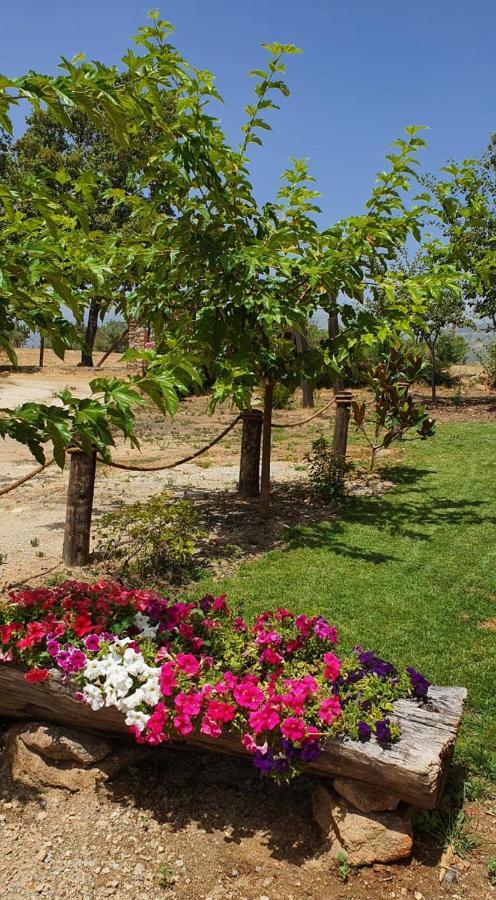 Casa Rural Las Traviesas Candeleda Esterno foto